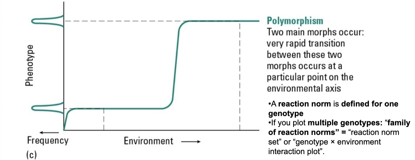 <p>two main morphs occur: very rapid transitionbetween these two morphs occur at particular points on the enviormental axis </p>