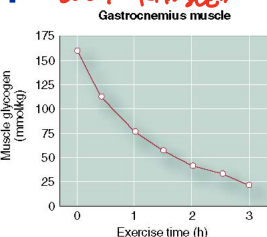 <p>How is glycogen depletion selective? </p>