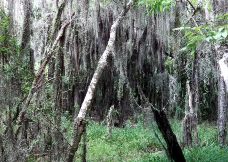 <p>what is this </p>