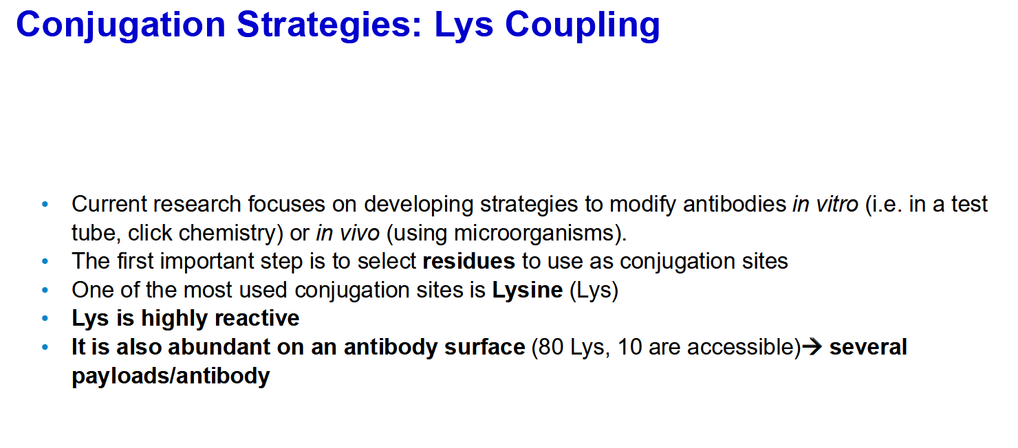 <p>Ideally the conjugation stie will not be in the variable region as it can and probably will affect binding</p>