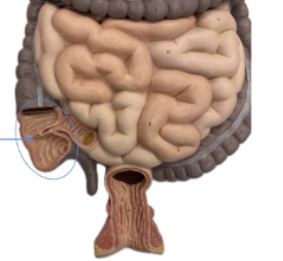 <p><span style="background-color: transparent;">name the parts</span></p>