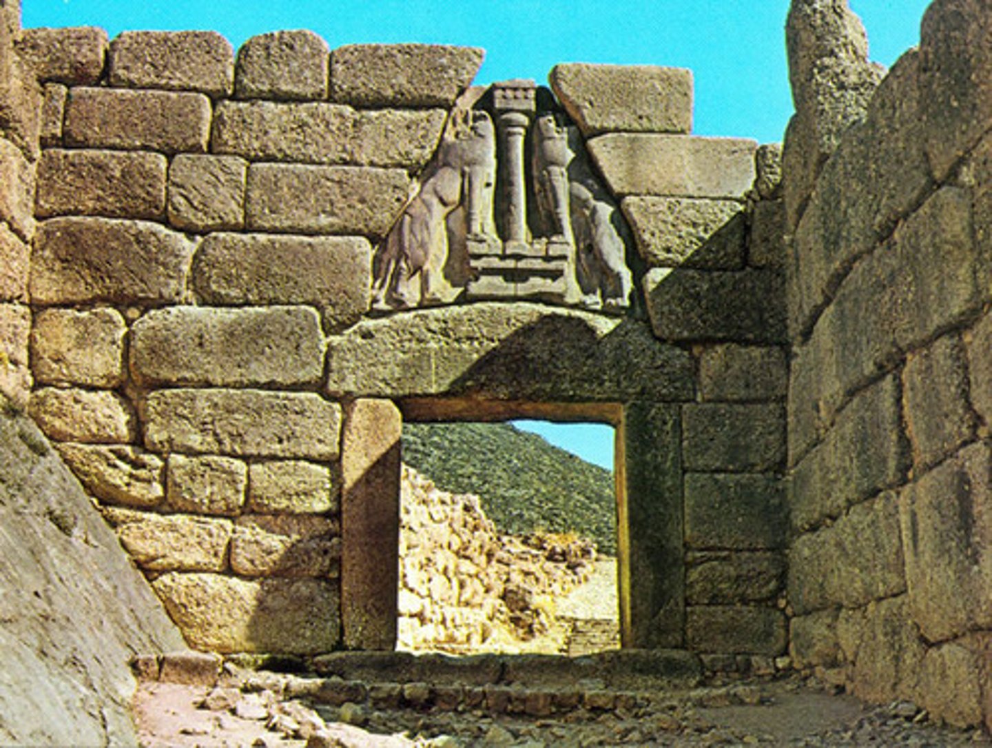 <p>мур</p>