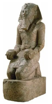 term image