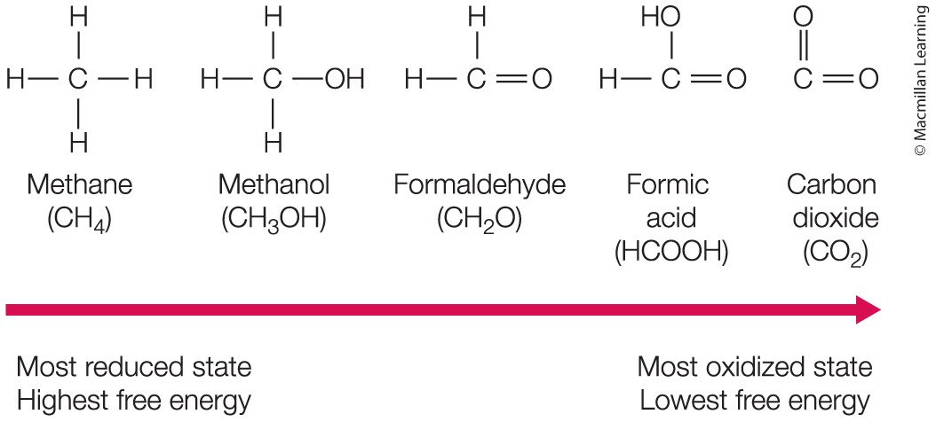 <p>Reduction</p>