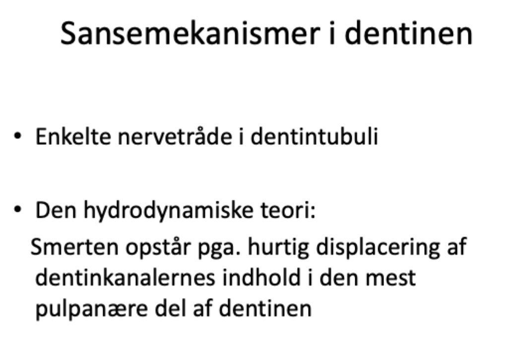 <p>Dentin: øget væskestrømning mod dentin=skarp/jagende smerte</p><p>Pulpa: øget væskestrømning mod pulpa=murrende smerte</p>