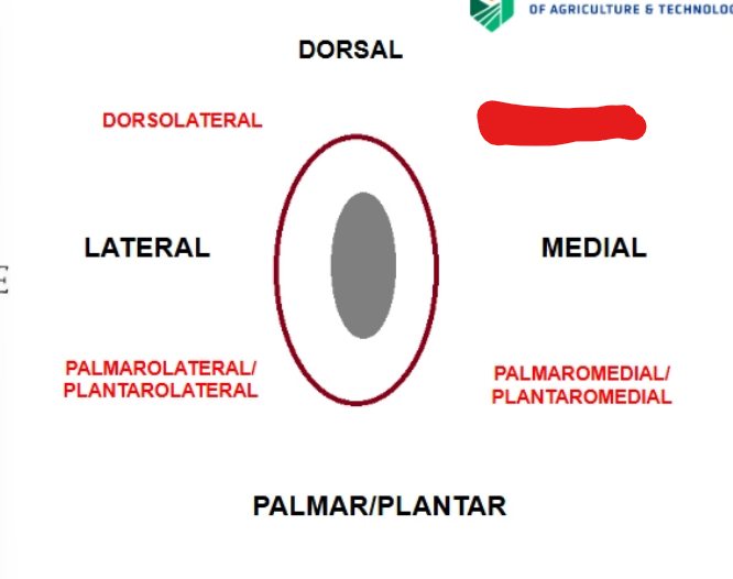<p>what is it</p>