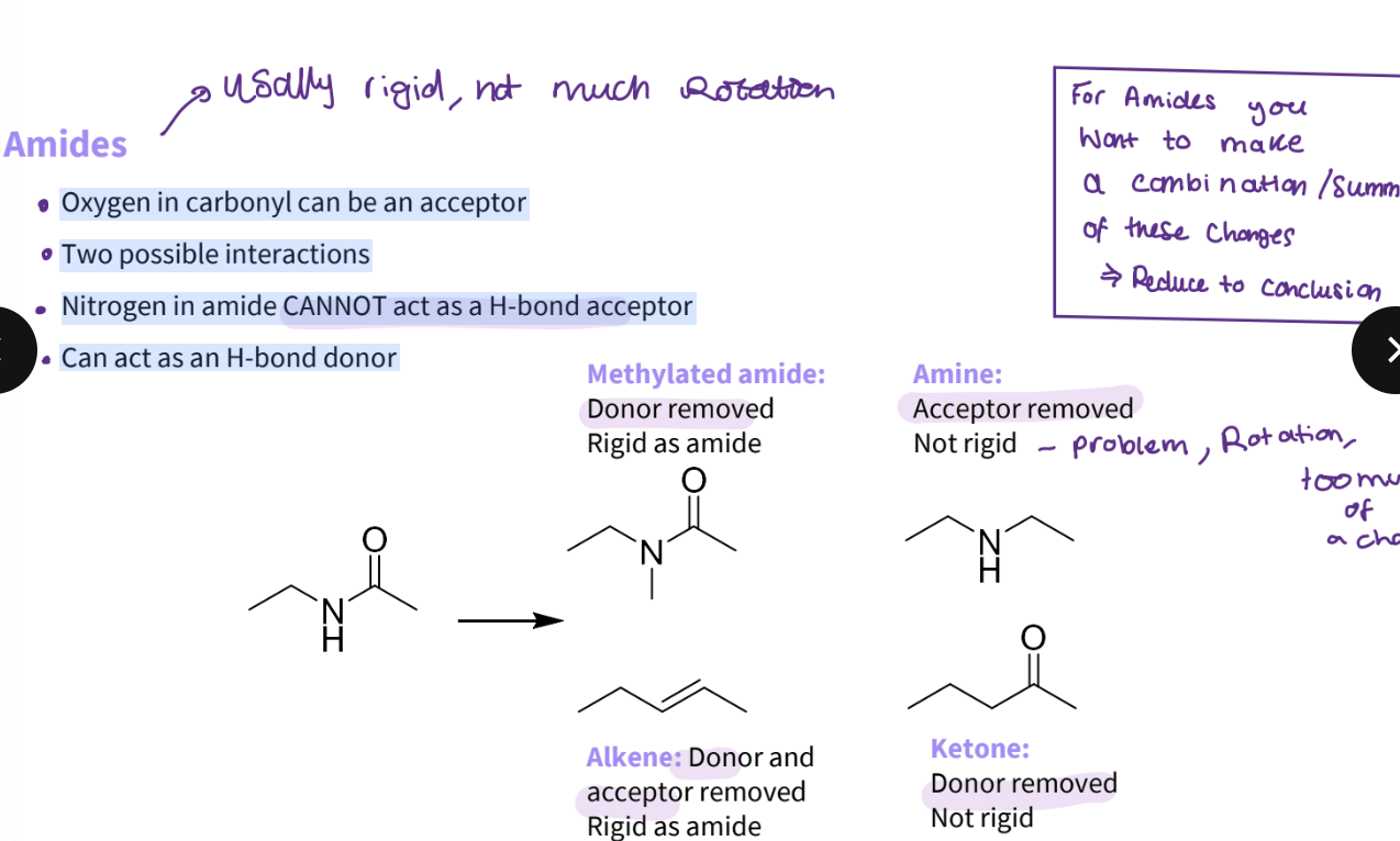 <p>Oxygen in carbonyl can be an acceptor</p><p>Two possible interactions</p><p>Nitrogen in amide CANNOT act as a H-bond acceptor</p><p><strong>Can act as an H-bond donor- remove donor methylated -rigid as an amine </strong></p><p><strong>remove acceptor - amine - not rigid - rotation too much of a change </strong></p><p><strong>alkene- donor and acceptor removes the rigidity </strong></p><p><strong>ketone - donor removed - not rigid </strong></p><p></p><p>Note- for amides, you make a combination of changes</p>