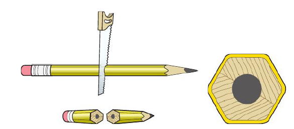 <p><strong>Working end in cross section</strong></p>
