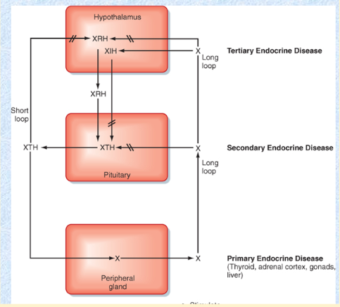disorder is caused by the pituitary gland.
