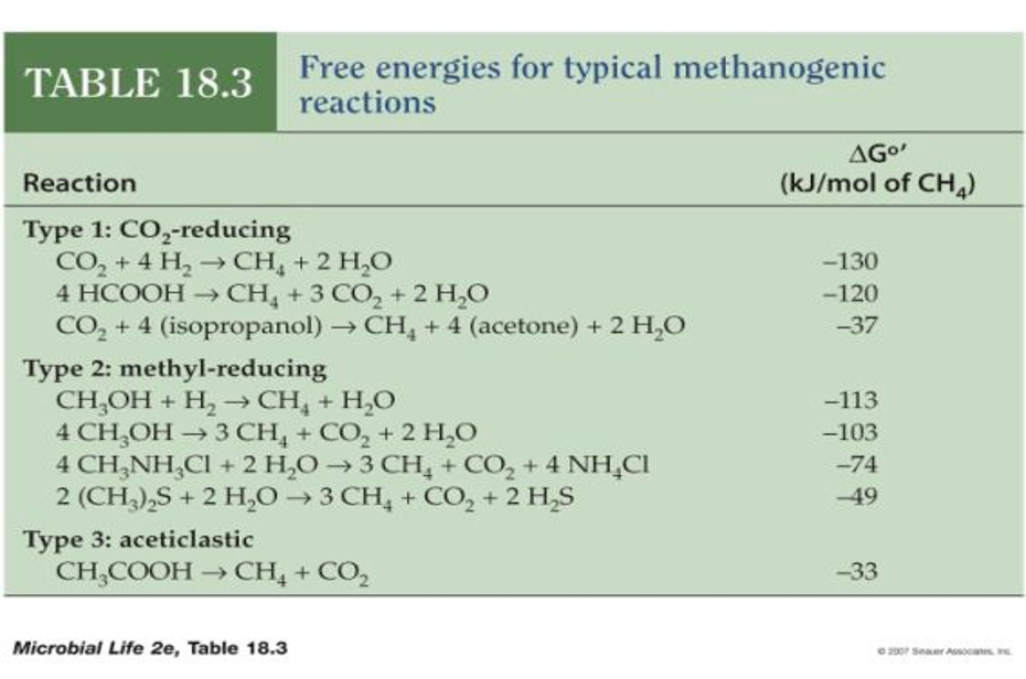 <p><strong><mark data-color="blue" style="background-color: blue; color: inherit;">Methanogens </mark></strong>(Gen. <strong><u>methane</u></strong> from <span style="color: purple;"><strong>acetate</strong></span><strong>/ use </strong><span style="color: blue;"><strong>H2 </strong></span><span style="color: rgb(0, 0, 0);"><strong>+ CO2</strong>)</span> <strong><em>[mostly archaea]</em></strong></p><p><strong><mark data-color="red" style="background-color: red; color: inherit;">Nitrifying bacteria </mark>(Nitrogenous waste → </strong><span style="color: red;"><strong>nitrate</strong></span><strong>) <em>[aerobes]</em></strong></p><p><strong><mark data-color="purple" style="background-color: purple; color: inherit;">Denitrifying bacteria </mark>(</strong><span style="color: red;"><strong>nitrate</strong></span><strong> → </strong><span style="color: blue;"><strong>N2</strong></span><strong>) <em>[anaerobes]</em></strong></p>
