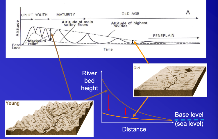 <p>&nbsp;</p><p class="MsoNormal">WM Davis ‘cycle of erosion’:</p>