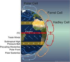 <p>1. The sun heats moist air at the equator</p><p>2. Warm wet air rises, condenses, and precipitates</p><p>3. Cool, dry air is pushed 30 degrees north and south</p><p>4. Dry air sinks as it warms and becomes wetter</p><p>The Earth's rotation affects wind direction</p><p>Polar cell: around the poles</p><p>Ferrel cells: distribute cool air from poles and warm air from the equator</p><p>Hadley Cell: around the equator</p>