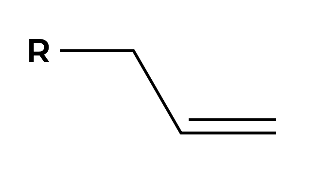 <p>Common name of this substituent?</p>