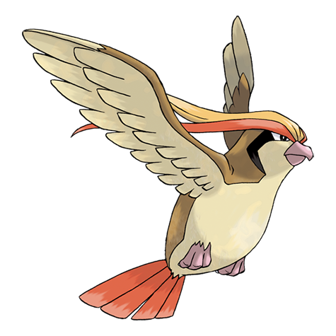 <p>What type is Pidgeot?</p>