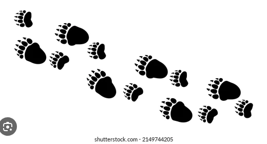 <p>Pacer/waddler gait . Left-left-right-right. Often an over-step walk.</p>
