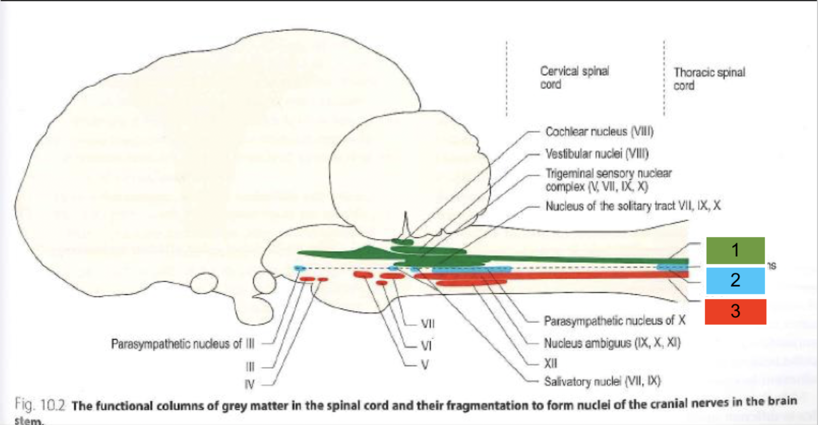 <p>What tract is 1?</p>