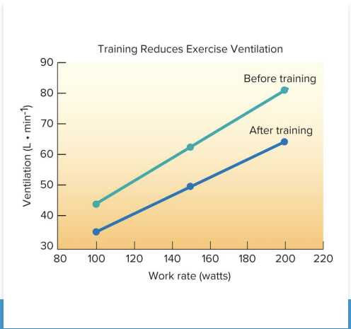 <ul><li><p>lower</p></li><li><p>H+</p></li></ul><p></p><p></p>