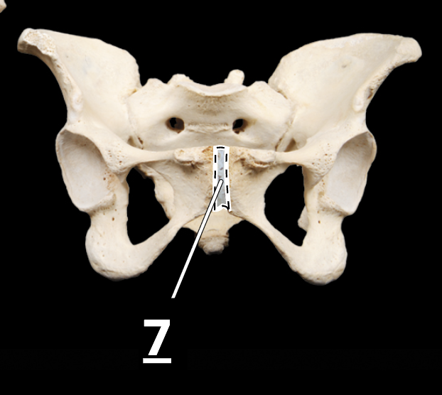 <p>7</p>