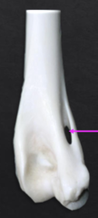 <p>What is this?</p>