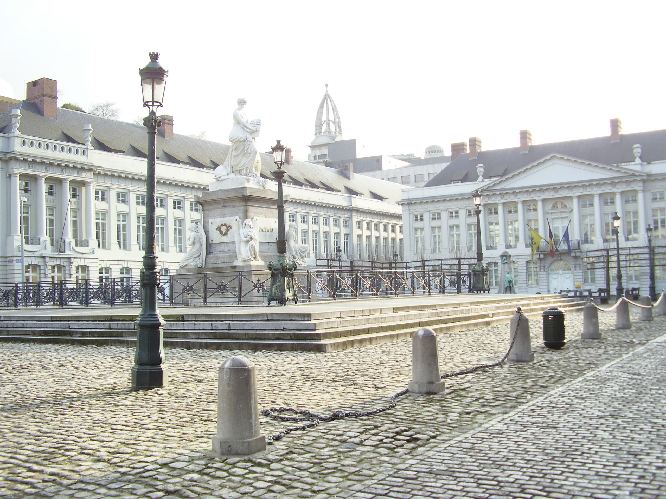 term image