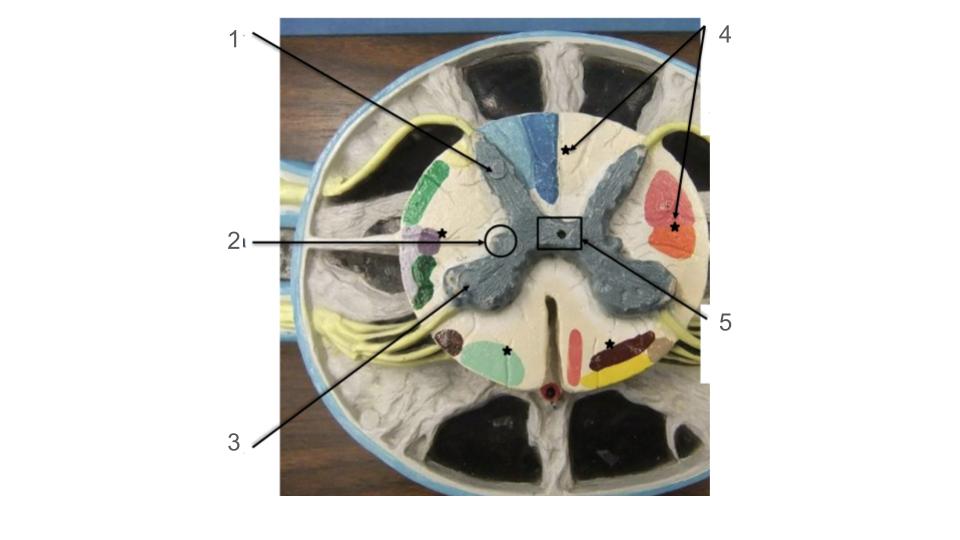 <p>2, structure</p>