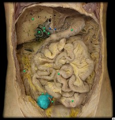 <p>identify the structure</p>