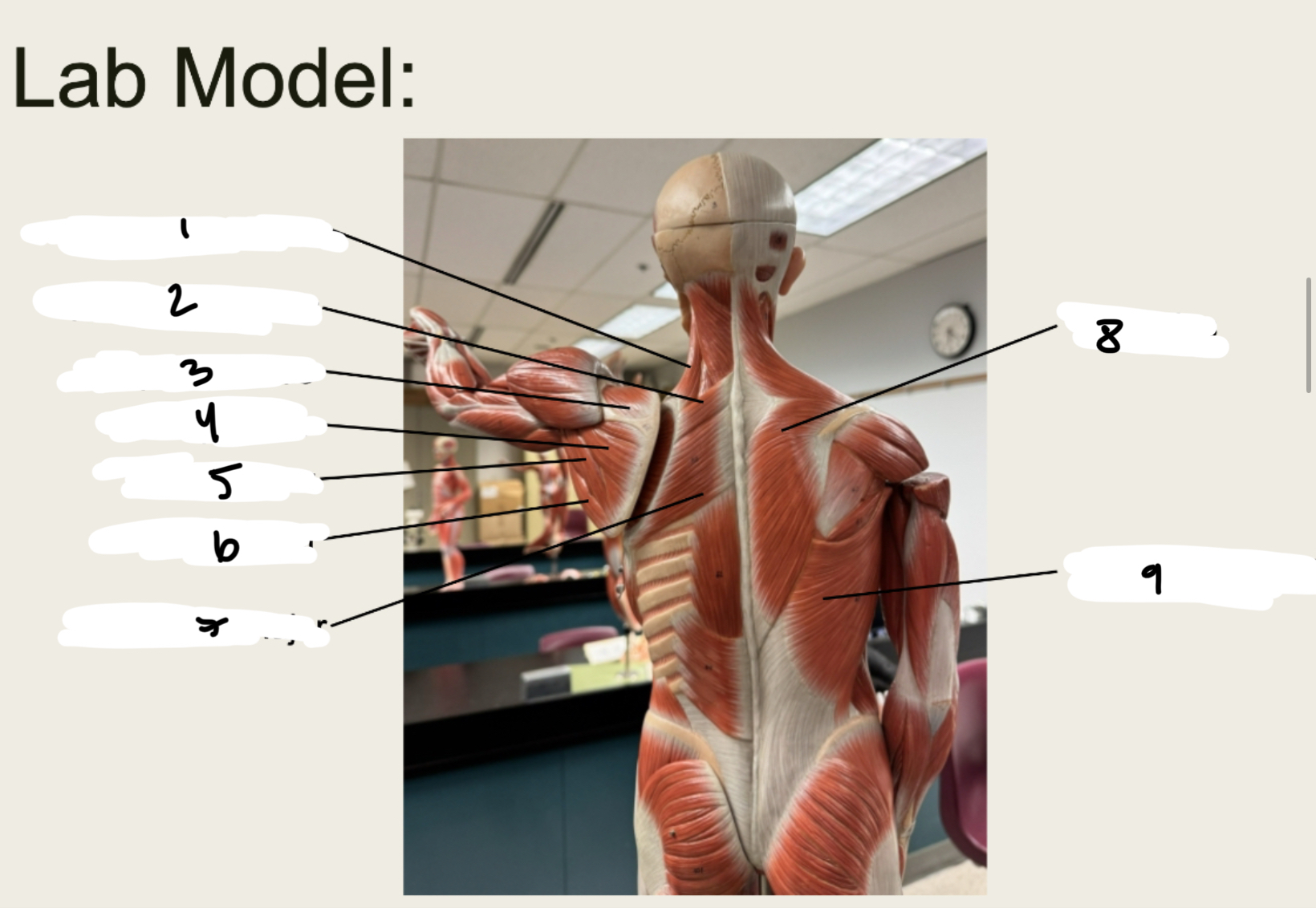 <p>1.XX</p><p>2.XX</p><p>3.XX</p><p>4.XX</p><p>5.XX</p><p>6.XX</p><p>7.XX</p><p>8.XX</p><p>9.XX</p>