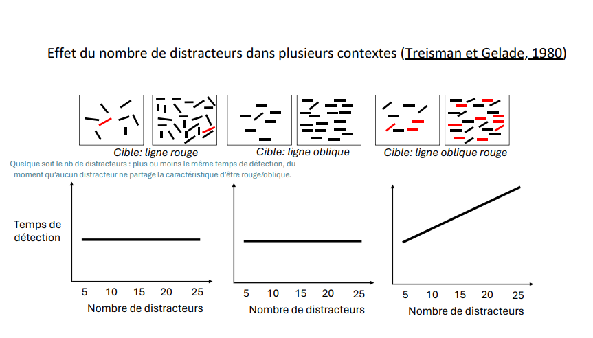 <p>Quel que soit le nombre de distracteurs : plus ou moins le même temps de détection, du moment qu'aucun distracteur ne partage la caractéristique d'être rouge/oblique. (Conditions : cible = ligne rouge ; cible = ligne oblique ; cible = ligne oblique rouge.)</p>