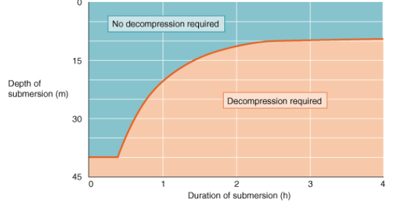 <p><span style="background-color: transparent;">Build of N<sub>2</sub> in tissues with time at depth. If return to sea level too quickly this gas comes out of solution and forms bubbles. Overcome by slow return to normal pressures.</span></p>