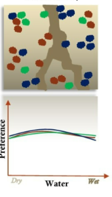 <p>What do these sets of graphs show?</p>