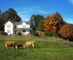 <p>farmhouse</p>