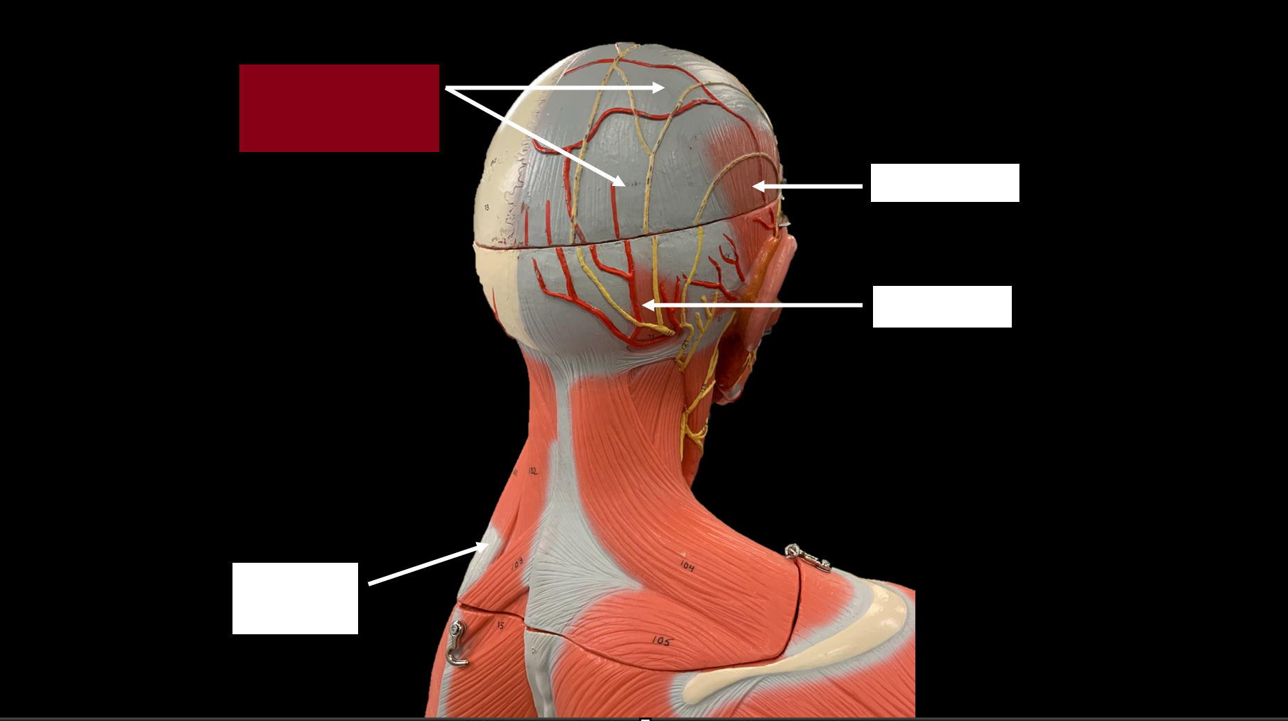 <p>WHAT IS THE NAME OF THE RED HIGHLIGHTED PART?</p>