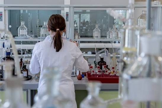 <p><strong>Ciencias experimentales</strong></p>