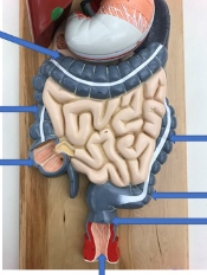 <p><span style="background-color: transparent;">name the parts</span></p>