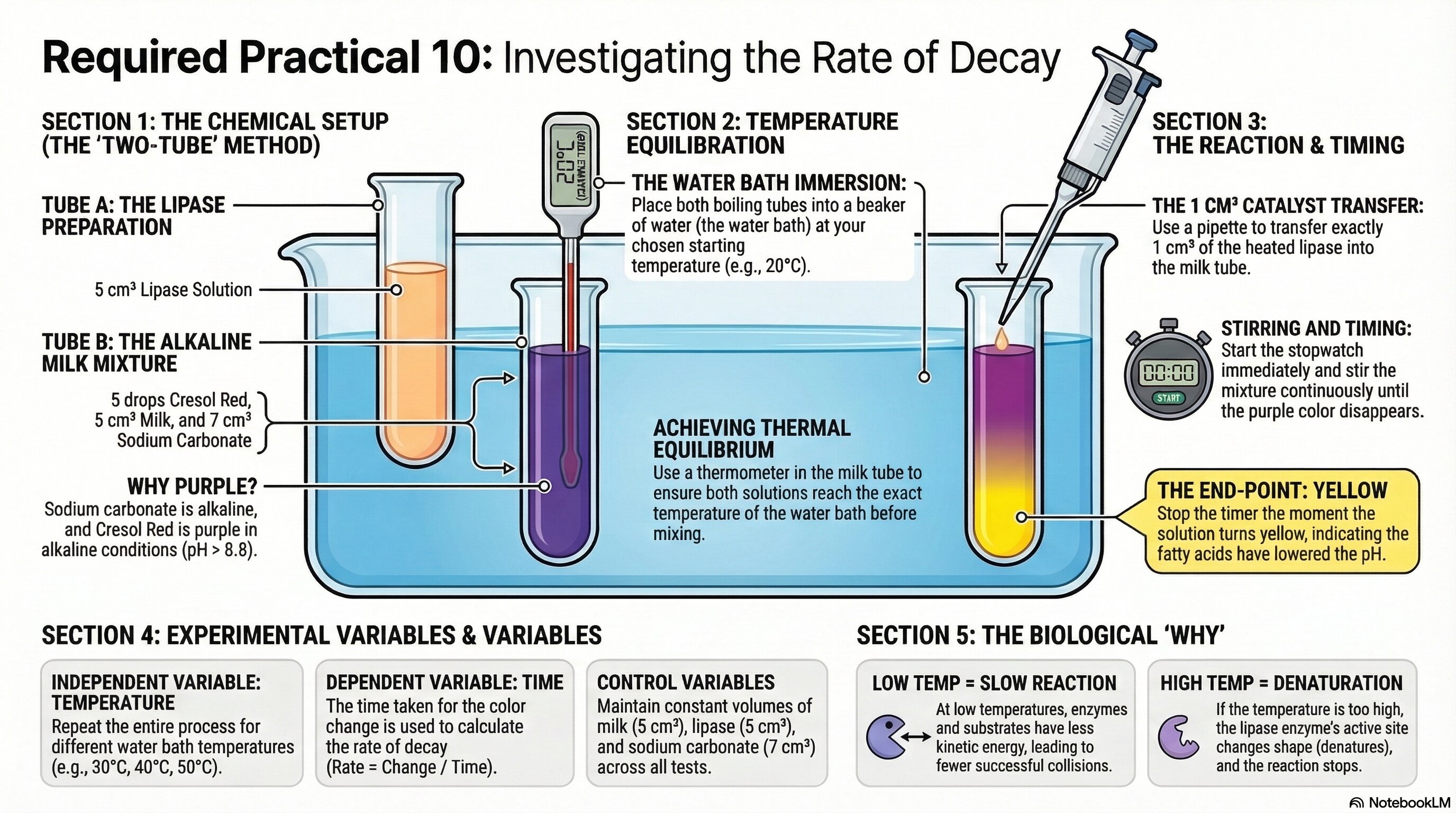 <p><strong><u>Required Practical 10 — Decay</u></strong></p><p>Describe a method to investigate the effect of temperature on the rate of decay of fresh milk by measuring pH change.</p>