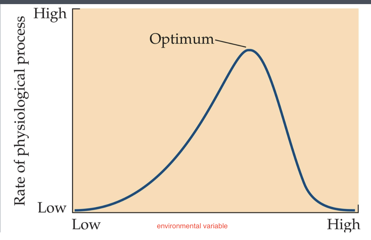 <p>Deviations from the () reduce the rate of the process</p>