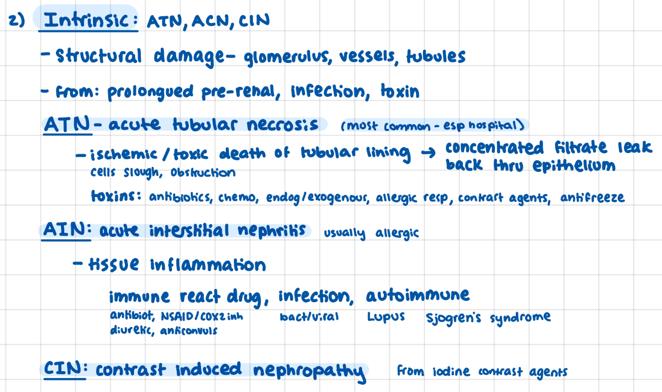 <p>structural damage to nephron</p><p>Acute tubular necrosis (ischemic/toxic death)</p><p>Acute Interstitial nephritis (inflam- allergic resp)</p><p>Contrast induced nephropathy</p>