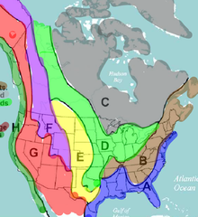 <p>Coastal Plain, Appalachian Mountains & Interior Lowlands</p><p>Eastern Woodlands</p>