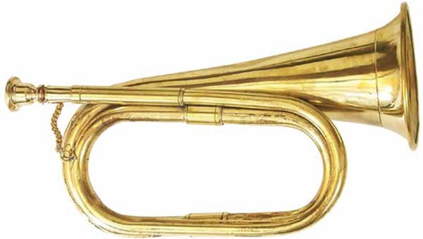 <p>un clairon</p>