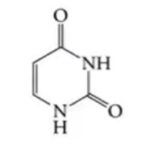 <p>Is uracil a purine or pyrimidine base?</p>