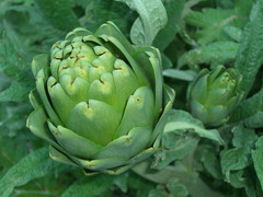 <p>4084</p>