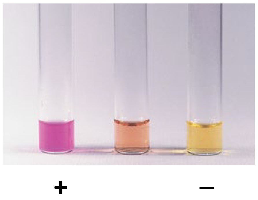 <p>Urea Hydrolysis is used to ___</p>