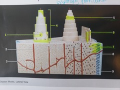 <p>4</p>