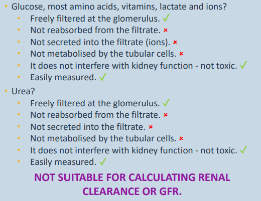 <p>basically this slide explains why everyday substances like glucose, vitamins and urea cant be used by docs to calculate GFR, because the substance needs to have been an OG - passing through the filter in renal corpuscle, travelling down the tube completely untouched, and exits in your urine - not reabsorbed or secreted in any way. Both urea and the substances mentioned below fail the test because first ones are reabsorbed back into blood/metabolized, and urea is reabsorbed into blood </p><p></p><p><span>Glucose, most amino acids, vitamins, lactate and ions?</span></p><ul><li><p><span>Freely filtered at the glomerulus.</span></p></li><li><p><span>Not reabsorbed from the filtrate.</span></p></li><li><p><span>Not secreted into the filtrate (ions).</span></p></li><li><p><span>Not metabolised by the tubular cells.</span></p></li><li><p><span>It does not interfere with kidney function - not toxic.</span></p></li><li><p><span>Easily measured.</span></p></li></ul><p>Urea?</p><ul><li><p><span>Freely filtered at the glomerulus.</span></p></li><li><p><span>Not reabsorbed from the filtrate.</span></p></li><li><p><span>Not secreted into the filtrate.</span></p></li><li><p><span>Not metabolised by the tubular cells.</span></p></li><li><p><span>It does not interfere with kidney function - not toxic.</span></p></li><li><p><span>Easily measured.</span></p></li></ul><p><strong>NOT SUITABLE FOR CALCULATING RENAL CLEARANCE OR GFR.</strong></p><p></p><p><span>Glucose, Amino Acids, Vitamins, Lactate, & Ions<br>The Good: They easily pass through the filter, are safe, and are easy to measure.<br>The Flaw: Your kidney actively reabsorbs them back into the blood, secretes extra ions into the fluid, or metabolizes them inside the cell walls.</span></p><p><span>Urea<br>The Good: It passes through the filter easily, is non-toxic, and is easy to measure.<br>The Flaw: Your kidney reabsorbs a massive amount of urea back into the blood (to help run that Loop of Henle salt gradient we talked about earlier) and also secretes some.</span></p><p></p>