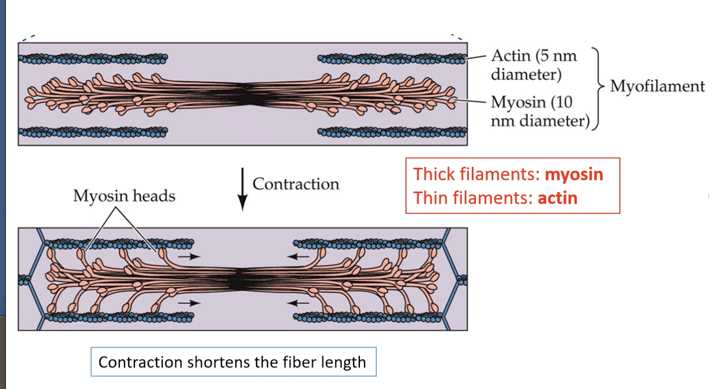 <p>Shorten the Fiber Length</p>