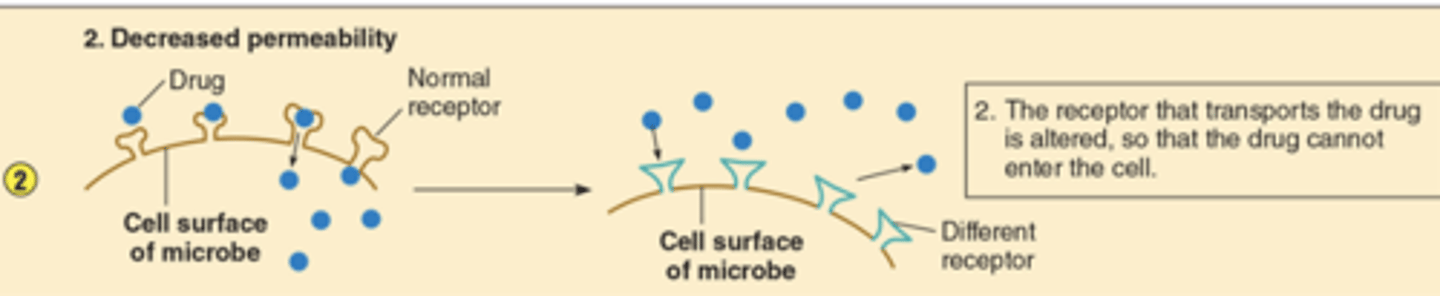 <p>The receptor that transports the drug is altered, so that the drug cannot enter the cell.</p>