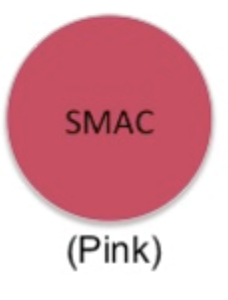 <p>Selective, differential</p><p>Differential: detects pathogenic strain of E. coli (O157:H7)</p><p>E. coli O157:H7 unable to ferment sorbitol → colorless/white colonies instead of red</p><p>Contains sorbitol instead of lactose</p>