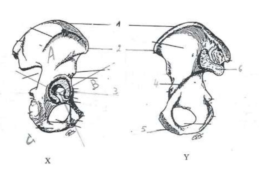 <p>5</p>