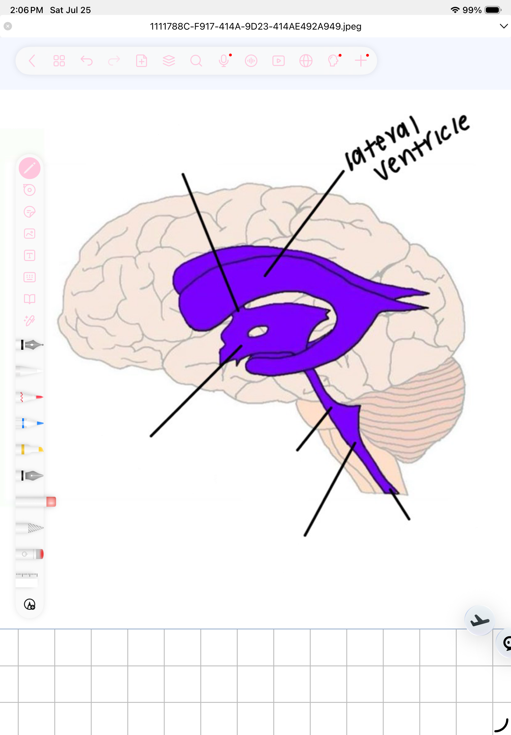 term image