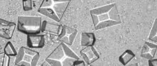 <p>Prism/Coffin-lid</p><p>Normal Crystals, seen in alkaline urine</p>